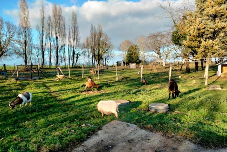 La filière agricole bio se sent délaissée par l’Etat, alors elle agit