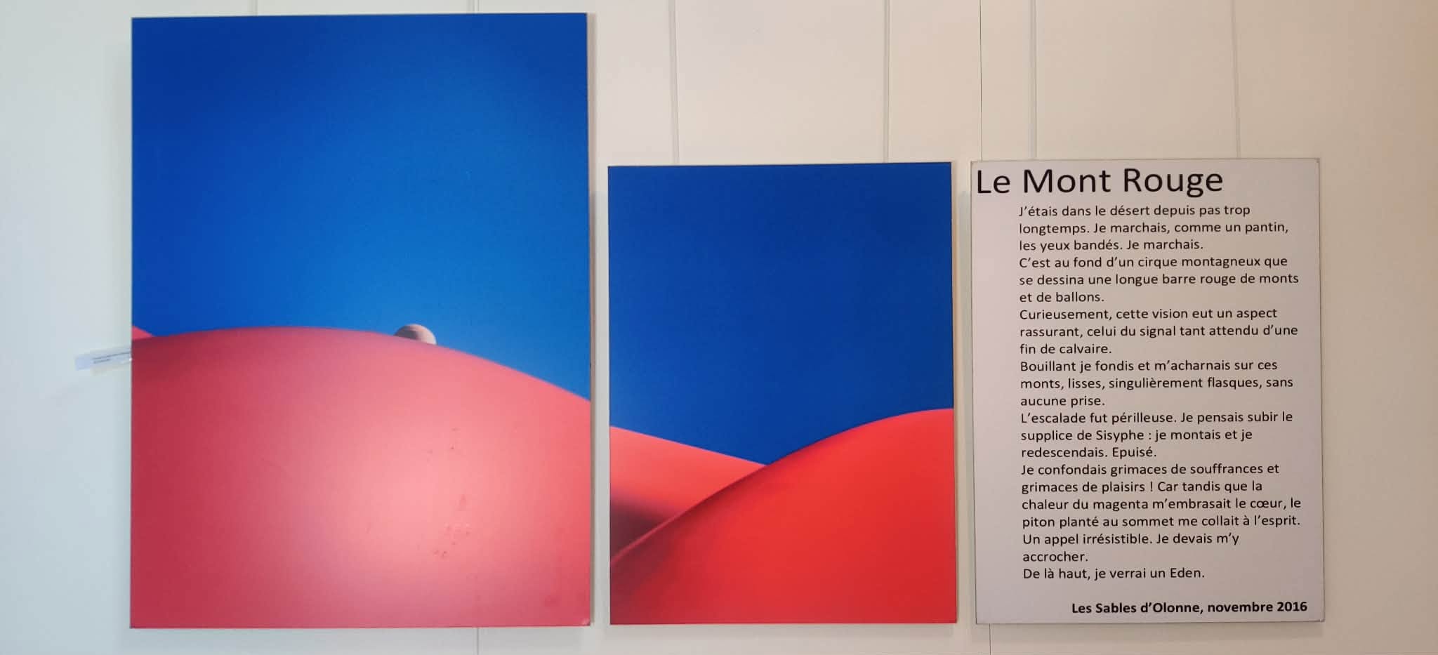 pouzet expo 1.jpg (80 KB)